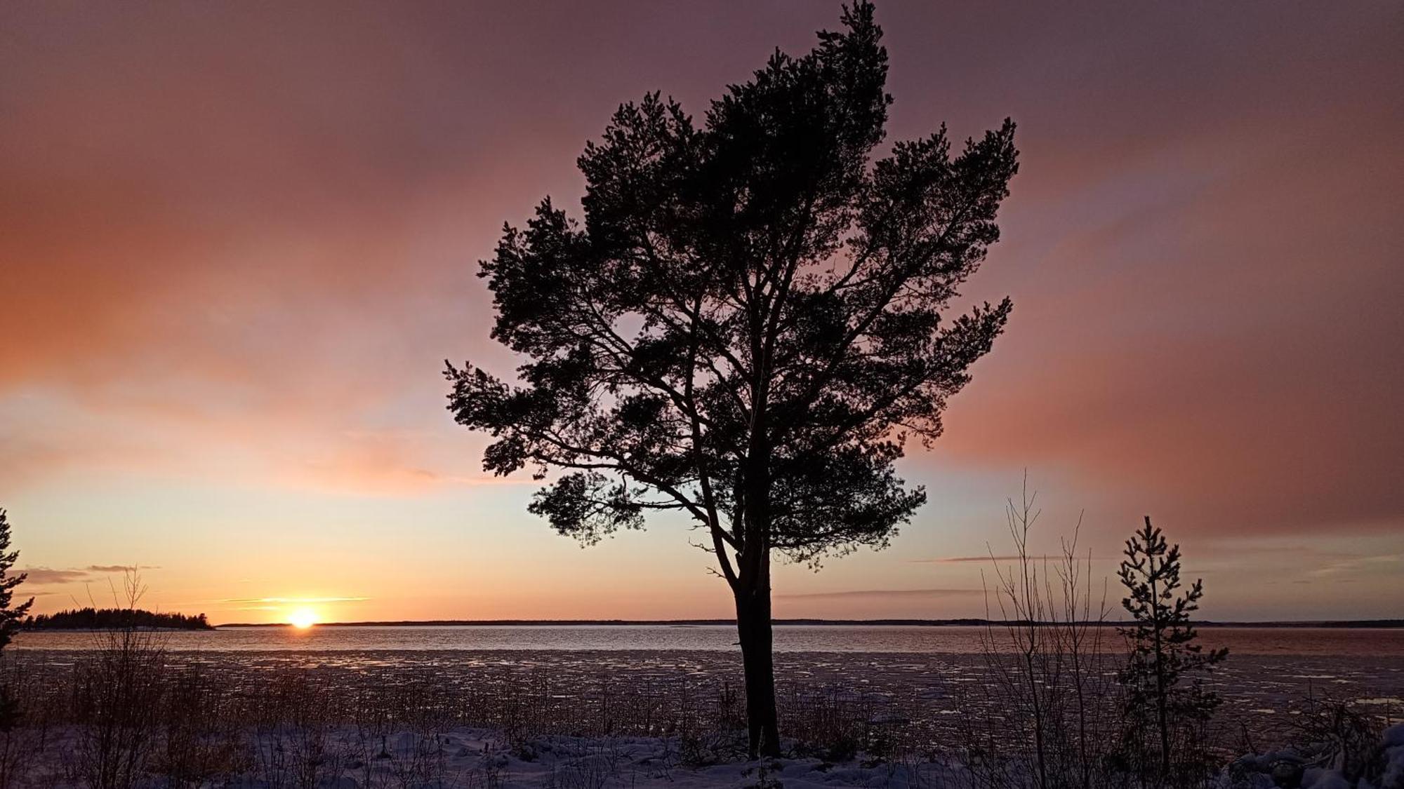 Havsnaera Villa Nordmaling Esterno foto